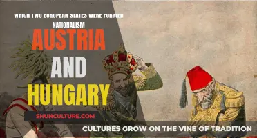 Nationalism's Impact: Austria and Hungary's Formation