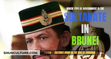 Understanding Brunei's Unique Government: The Sultan's Rule