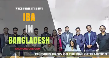Top Universities Offering IBA Programs in Bangladesh: A Comprehensive Guide