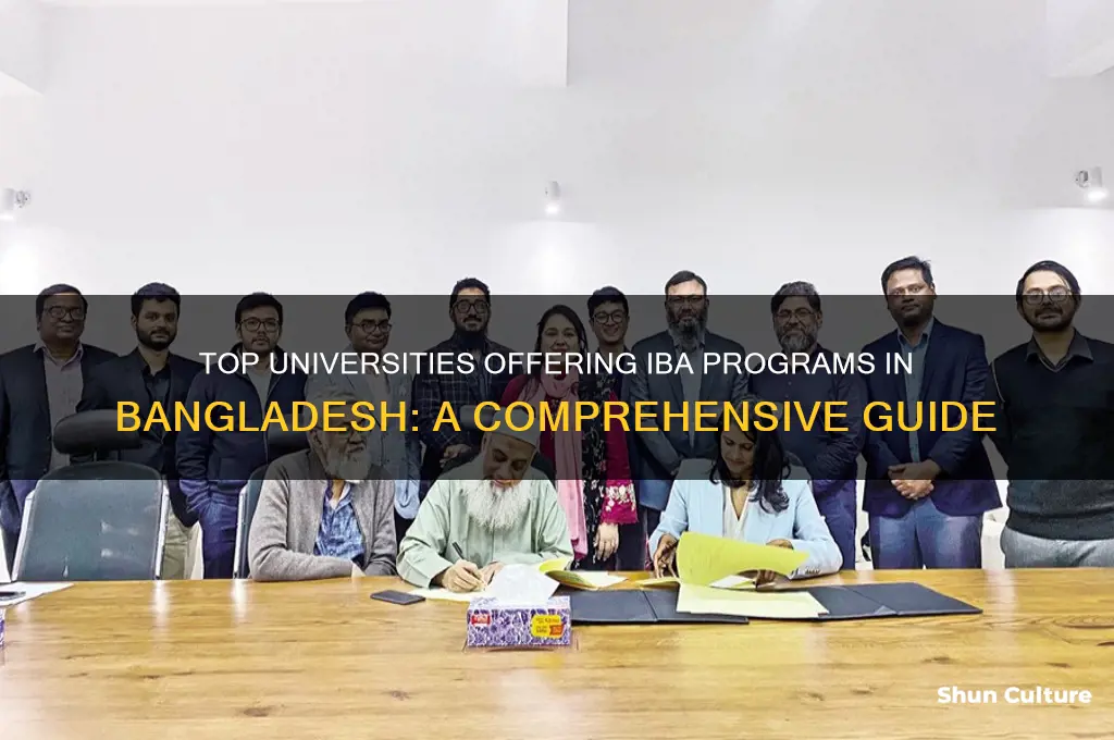 which universities have iba in bangladesh