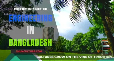 Top Engineering Universities in Bangladesh: A Comprehensive Guide