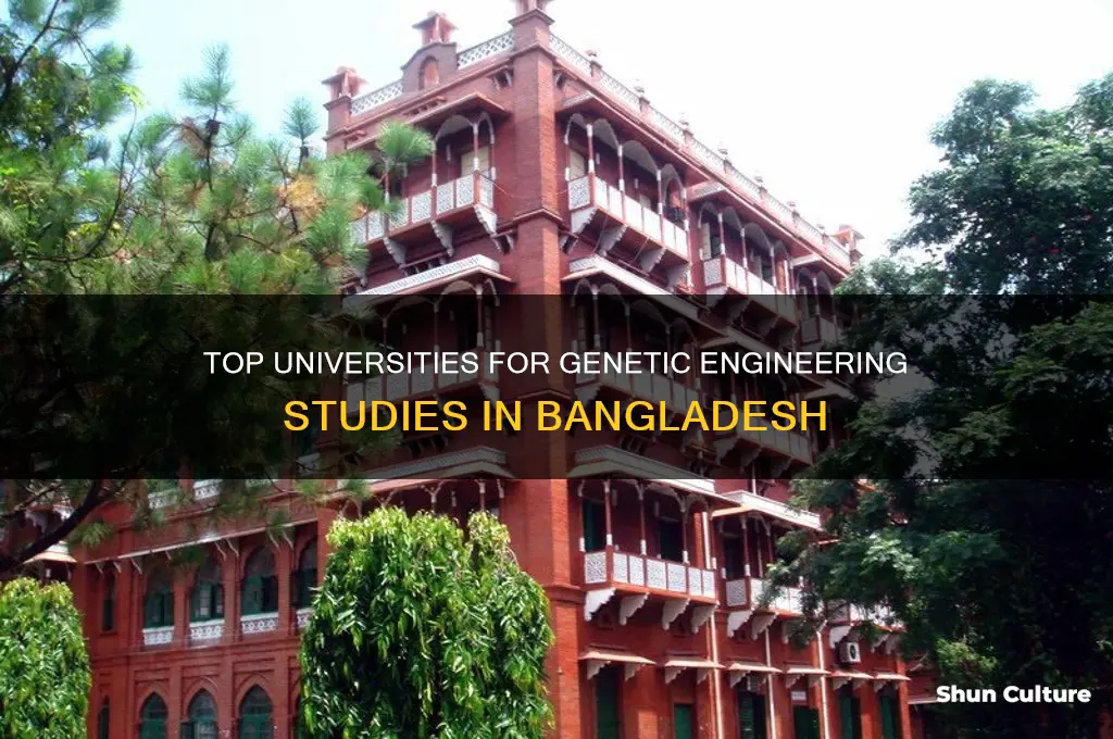 which university is best for genetic engineering in bangladesh