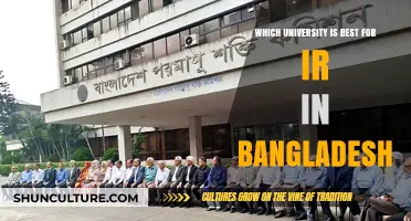 Top Universities for International Relations Studies in Bangladesh
