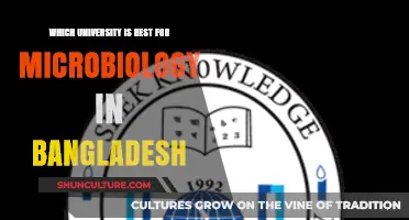 Top Universities for Microbiology Studies in Bangladesh: A Comprehensive Guide