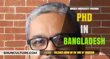 Top Universities Offering PhD Programs in Bangladesh: A Comprehensive Guide