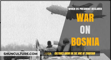 US President's Declaration of War on Bosnia: Historical Context