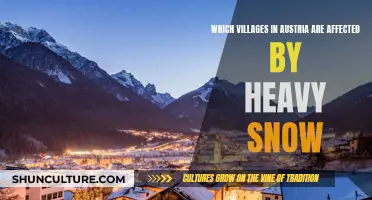 Austrian Villages: Battling Heavy Snowfall