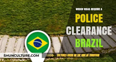 Brazil Visa Requirements: Police Clearance Needed for These Visas