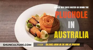 Does Water Swirl Clockwise or Counterclockwise in Australian Drains?