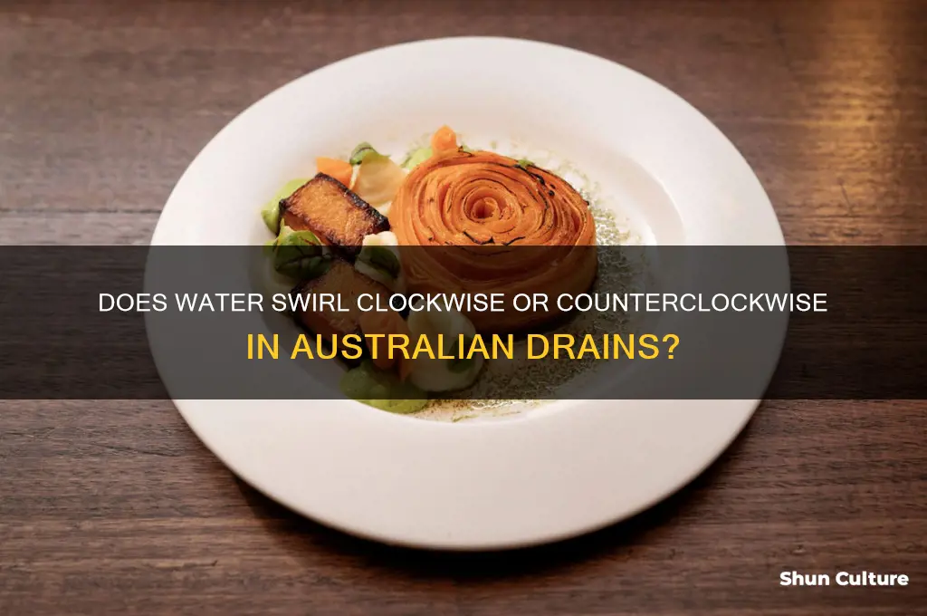 which way does water go down the plughole in australia