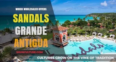 Where to Buy Sandals Grande Antigua: Top Wholesaler Options