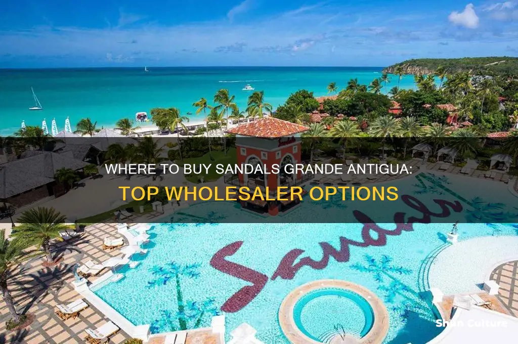 which wholesaler offers sandals grande antigua