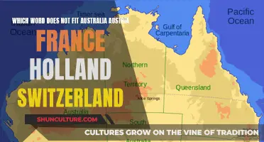 Why Doesn't Holland Fit with These European Countries?