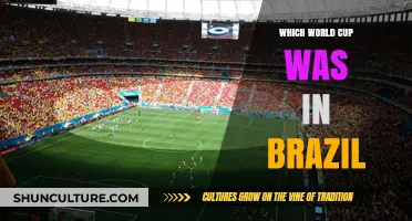Brazil's World Cup Legacy: Reliving the 2014 FIFA Tournament