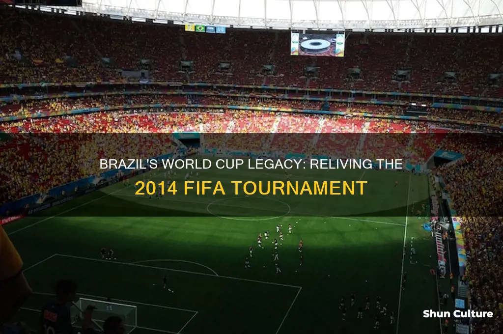 which world cup was in brazil