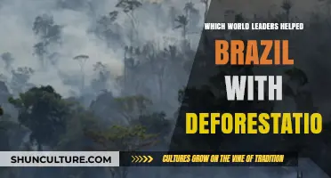 World Leaders Supporting Brazil's Fight Against Deforestation: Key Allies