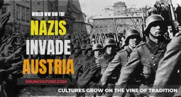 The Nazi's March: Austria's Invasion and the Road to War