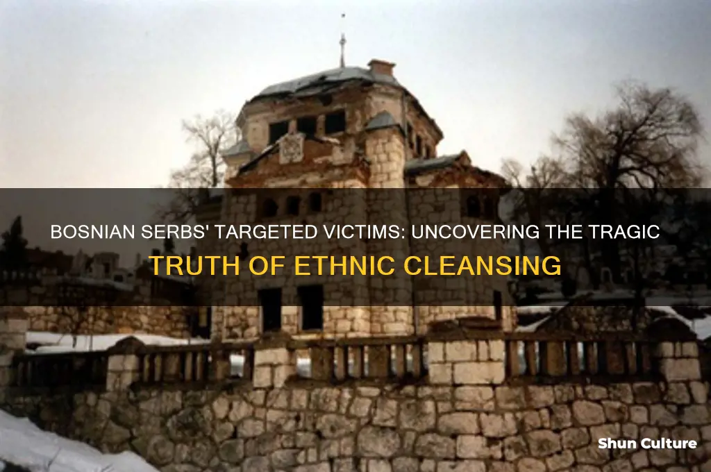 whom did the bosnian serbs target