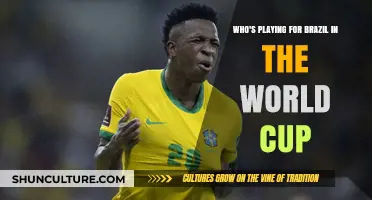 Brazil's World Cup Squad: Meet the Players Representing the Nation
