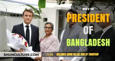 Who Leads Bangladesh? Unveiling the Current President's Identity
