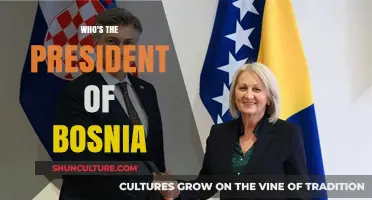Who Leads Bosnia? Unveiling the Current President's Identity