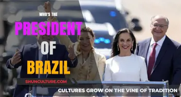 Who's the President of Brazil? Current Leadership and Political Overview