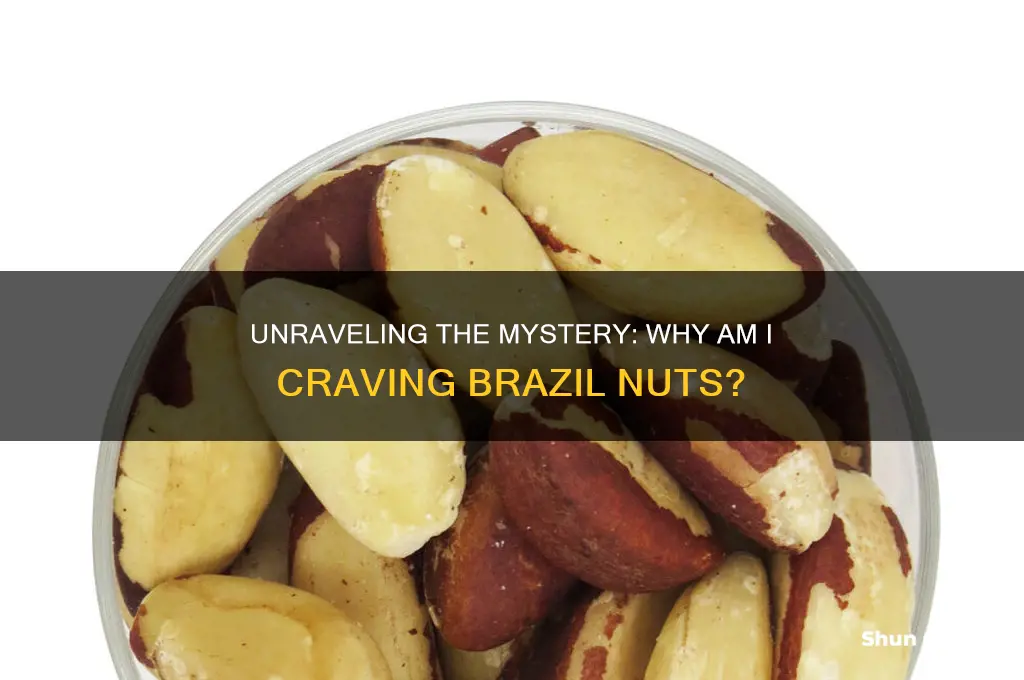 why am I craving brazil nuts