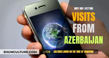 Unusual Traffic: Azerbaijan's Interest in My Website