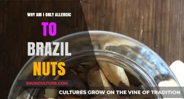 Unraveling the Mystery: Why Brazil Nuts Trigger My Unique Allergy