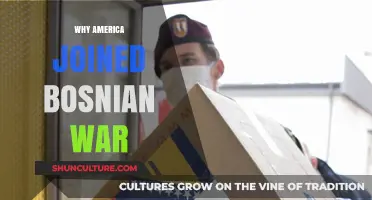 America's Intervention in Bosnia: Motivations and Strategic Decisions Explained