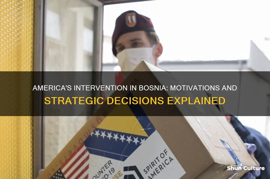 why america joined bosnian war