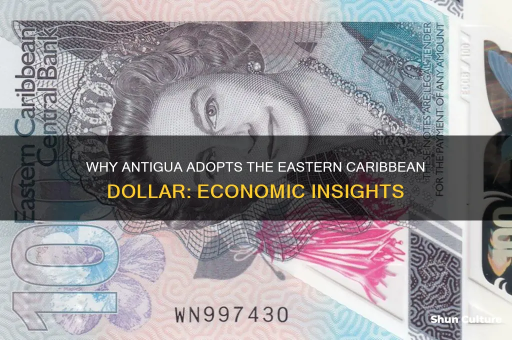 why antigua uses eastern caribbean dollar