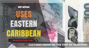 Why Antigua Adopts the Eastern Caribbean Dollar: Economic Insights