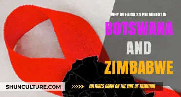 Understanding the High HIV/AIDS Prevalence in Botswana and Zimbabwe