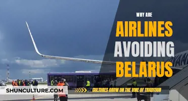 Avoiding Belarus: Airlines' Political Risk and Passenger Safety