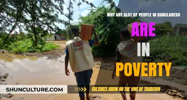 Understanding Bangladesh's Persistent Poverty: Causes and Challenges for Millions
