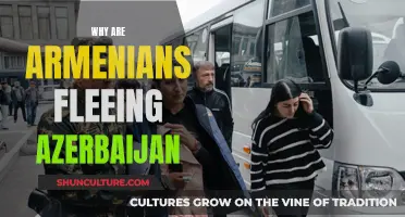 Armenian Exodus: Why Fleeing Azerbaijan?