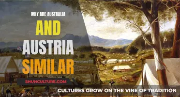 Down Under Connections: Exploring Similarities Between Australia and Austria