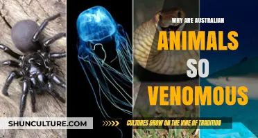 Deadly Australia: Why So Venomous?