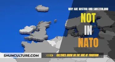 Austria and Switzerland: NATO-Free Alpine Neighbors