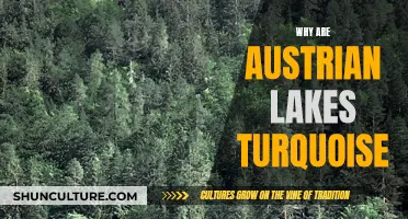 Austrian Lakes' Turquoise Beauty: A Geological Wonder
