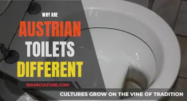Austrian Toilets: A Unique Design and Cultural Quirk Explained