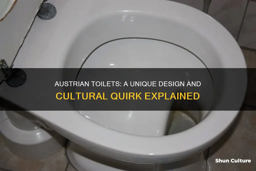 why are austrian toilets different