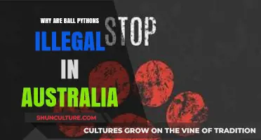 Ball Pythons: Banned in Australia — Why?