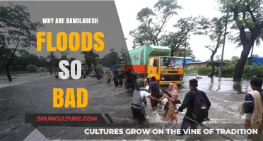 Bangladesh's Devastating Floods: Causes, Impacts, and Urgent Solutions
