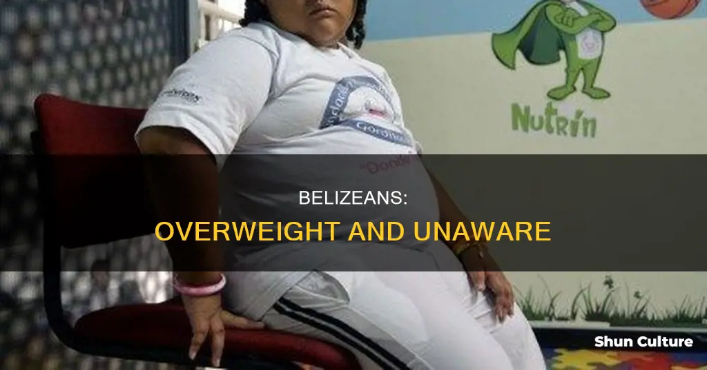 why are belizean overweight