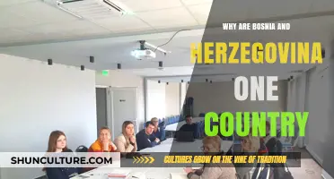 Bosnia and Herzegovina: A Shared History, Culture, and Unified Nation