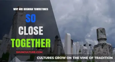 Bosnian Tombstones: The Unique Tradition of Close Proximity Explained