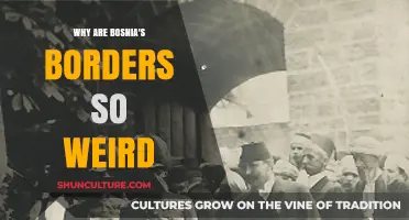 Bosnia's Complex Borders: Historical, Political, and Geographical Influences Explained