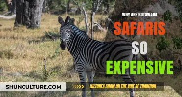 Botswana Safaris: Unraveling the High Costs of Exclusive Wildlife Adventures